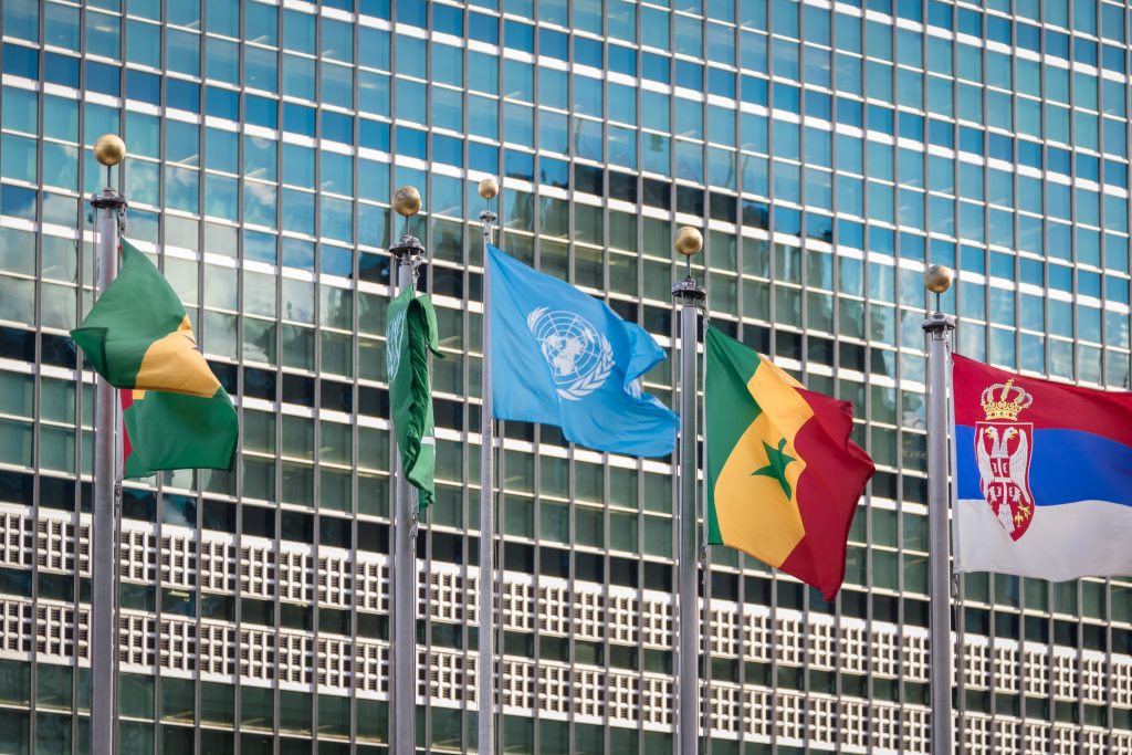Several Flags, including the UN one